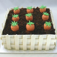 Food - Vegetable Patch Cake